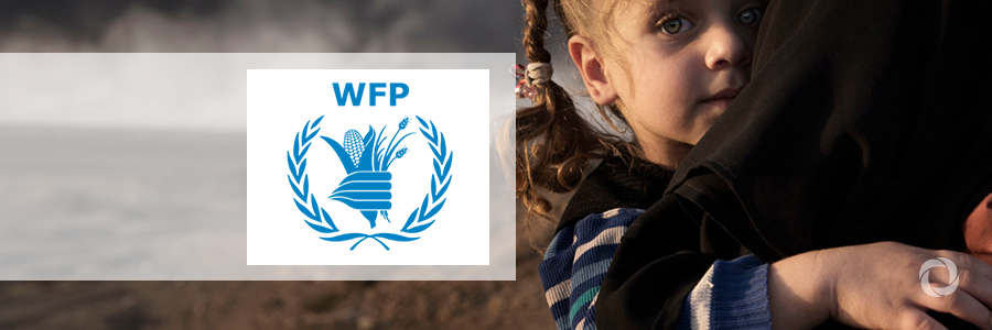 Funding from Germany underpins WFP cash assistance to conflict-affected Iraqis