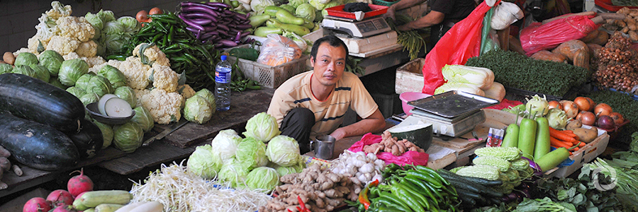 Improving food safety in China’s Jilin Province