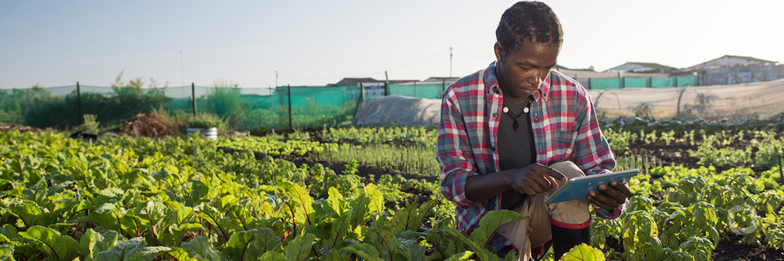 African Development Bank President tells African youth to get into agriculture