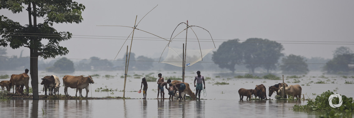 As monsoon death toll climbs across South Asia, new maps show damage to crops could be severe