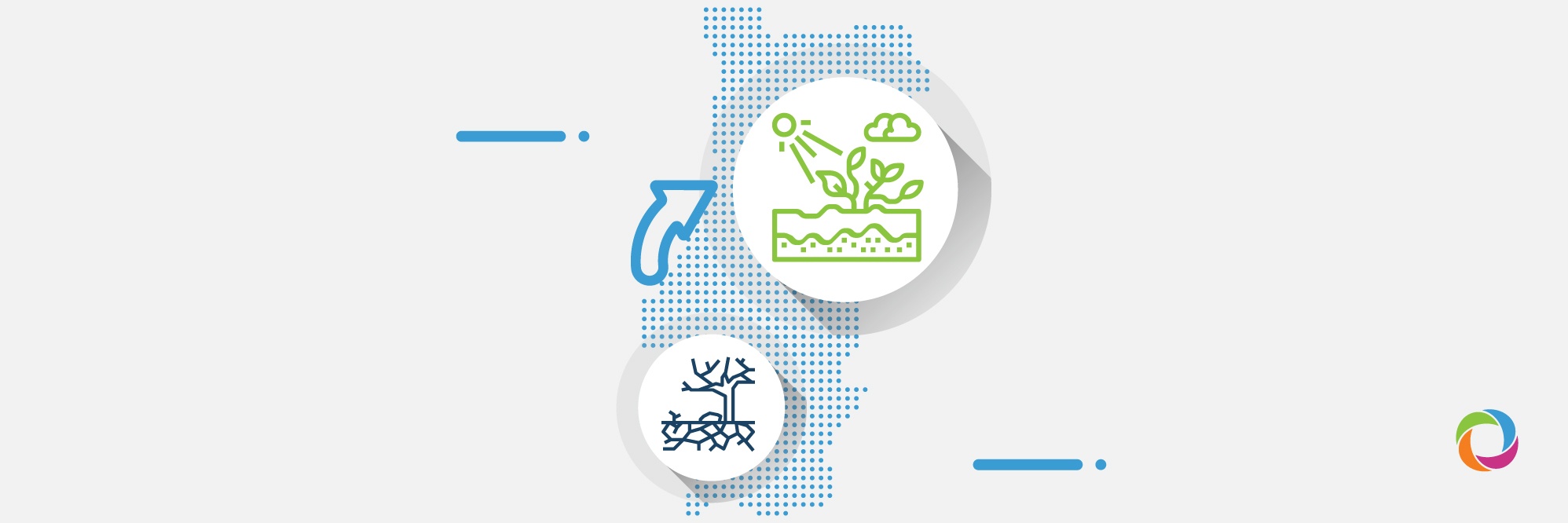 Agro-silvo-pastoralism turns land healthy and prevents desertification in Portugal