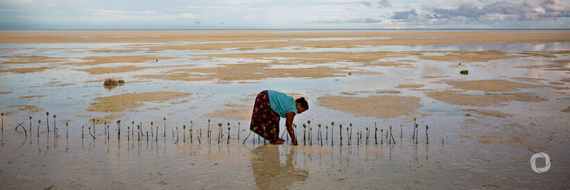 11 tons of critical relief supplies arrive in Kiribati to support on-going drought response