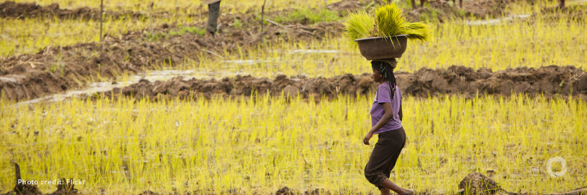 US$125 million to support Jordan’s agriculture sector and improve its climate resilience