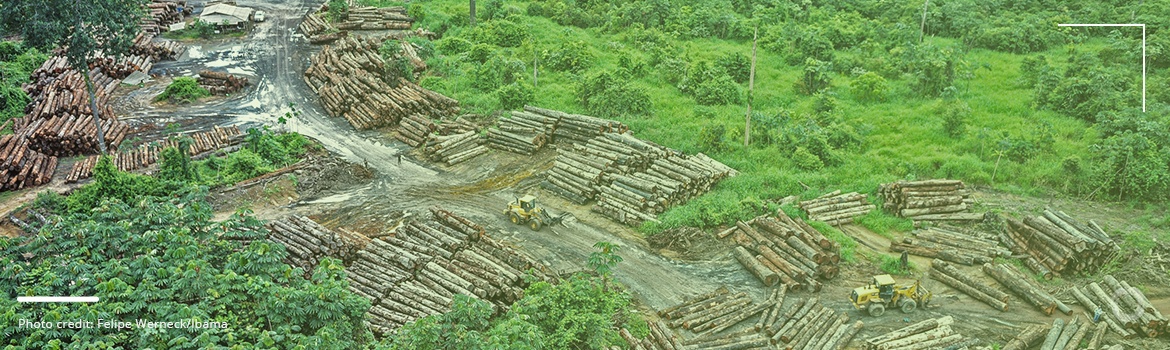 Brazil’s new government pledges to halt Amazon deforestation. What is needed to achieve that goal?