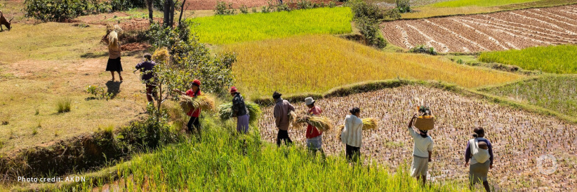 Supporting agricultural development in Madagascar