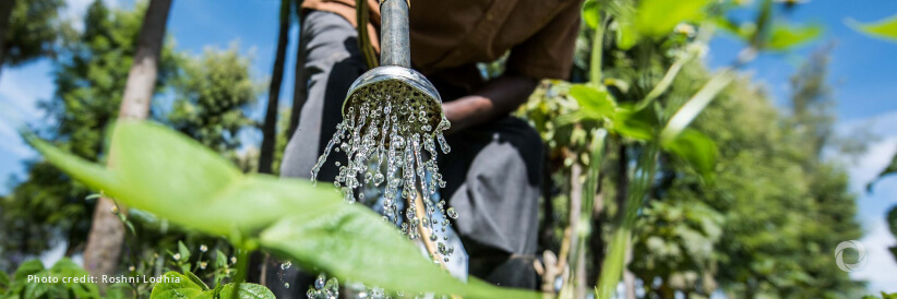 WFP and UNEP bolster global food and water security