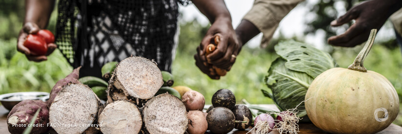 WFP and Government of Zimbabwe launch roadmap toward food security