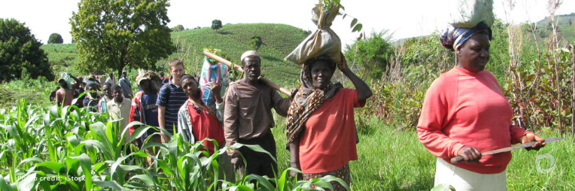 In Cameroon, FAO supports World Bank-funded project targeting nutrition, early warning systems, resilience and capacity-building for small-scale farmers