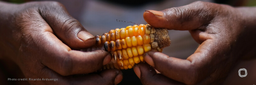 Improving food security in Haiti