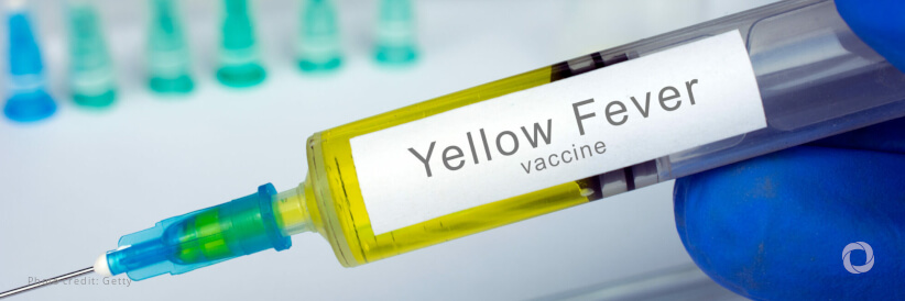 Epidemiological alert: Increase in yellow fever cases in Latin America