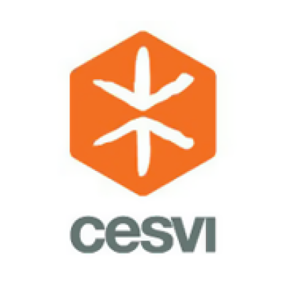 CESVI Foundation Onlus (Lebanon)