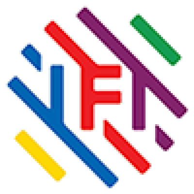 IFI Vietnam - International Francophone Institute