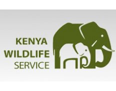 Kenya Wildlife Service 