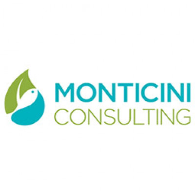 Monticini Consulting