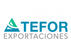 TEFOR Exportaciones