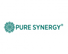 synergy company