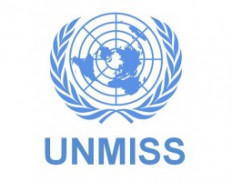 United Nations Mission in Sudan (UNMIS)